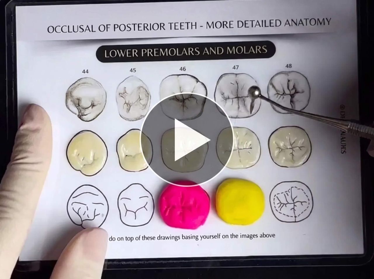 Minicurso: ToothSculpt PRO